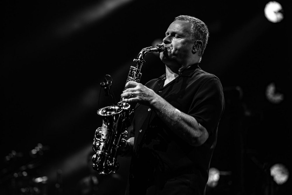 Simply Red - Hannover 2025 © ToddeVision